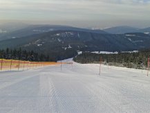 slalom.jpg