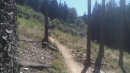 Singltrek 26.8. - 28.8. 2016