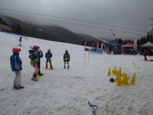 IMG_0710.jpg