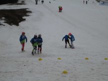 IMG_0713.jpg