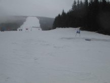 IMG_0729.jpg