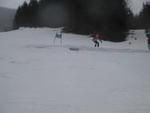 IMG_0730.jpg
