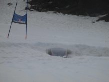 IMG_0731.jpg