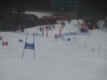 IMG_0732.jpg