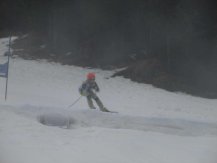 IMG_0740.jpg