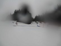 IMG_0771.jpg