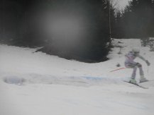 IMG_0772.jpg