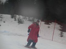 IMG_0773.jpg
