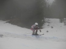 IMG_0780.jpg