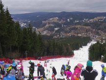 slalom.jpg